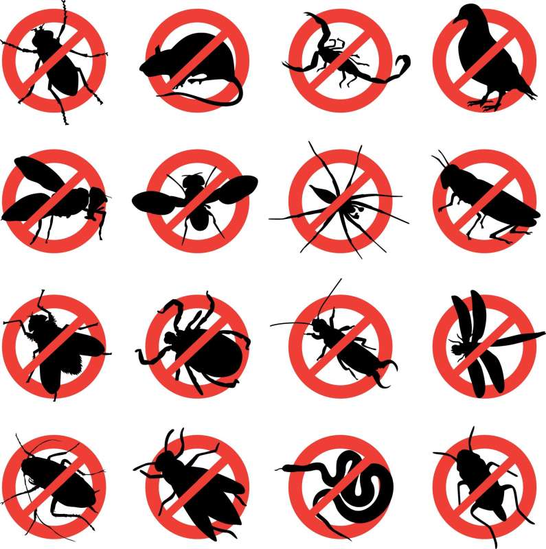 Aircraft Pest Control